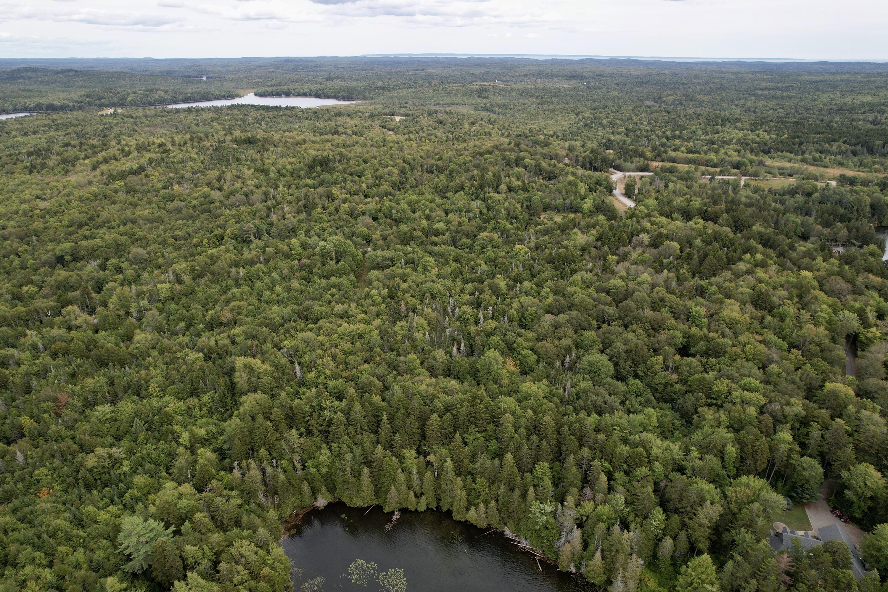 M19 L13-c Halls Mills Road Whiting ME 04691