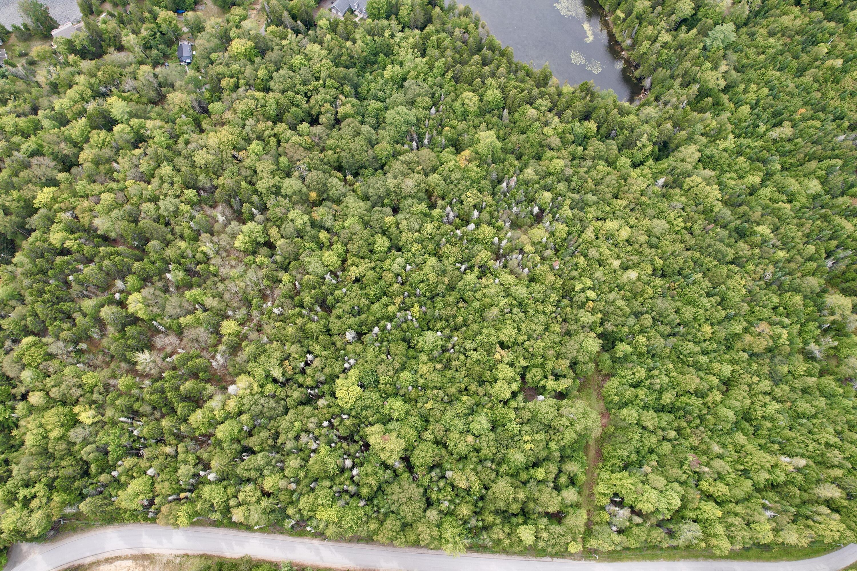 M19 L13-c Halls Mills Road Whiting ME 04691