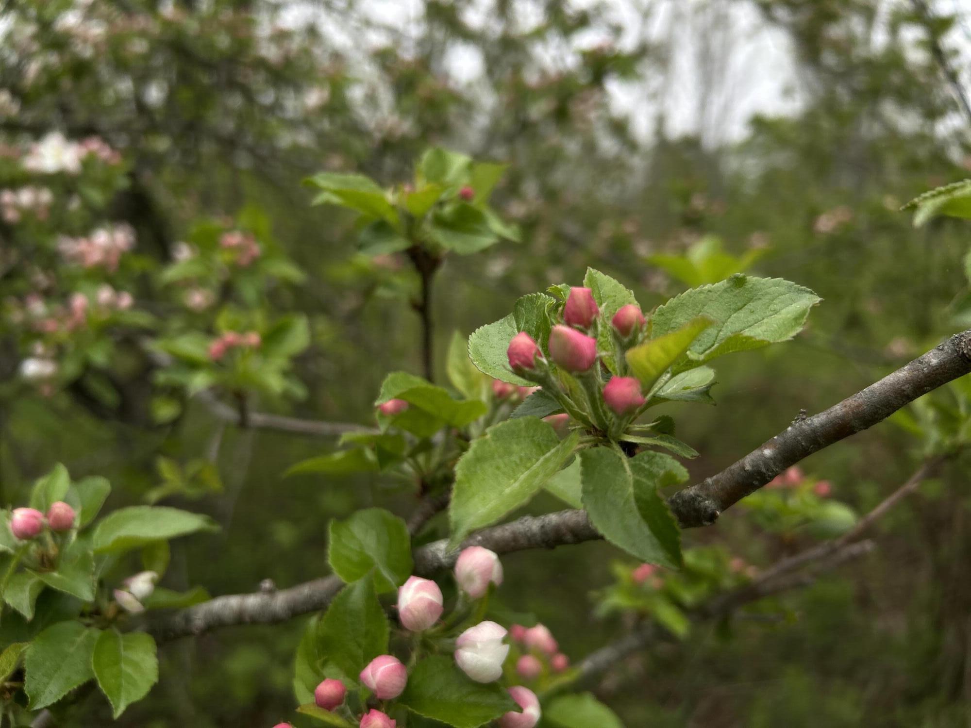 696 Lebanon Road Winterport ME 04496