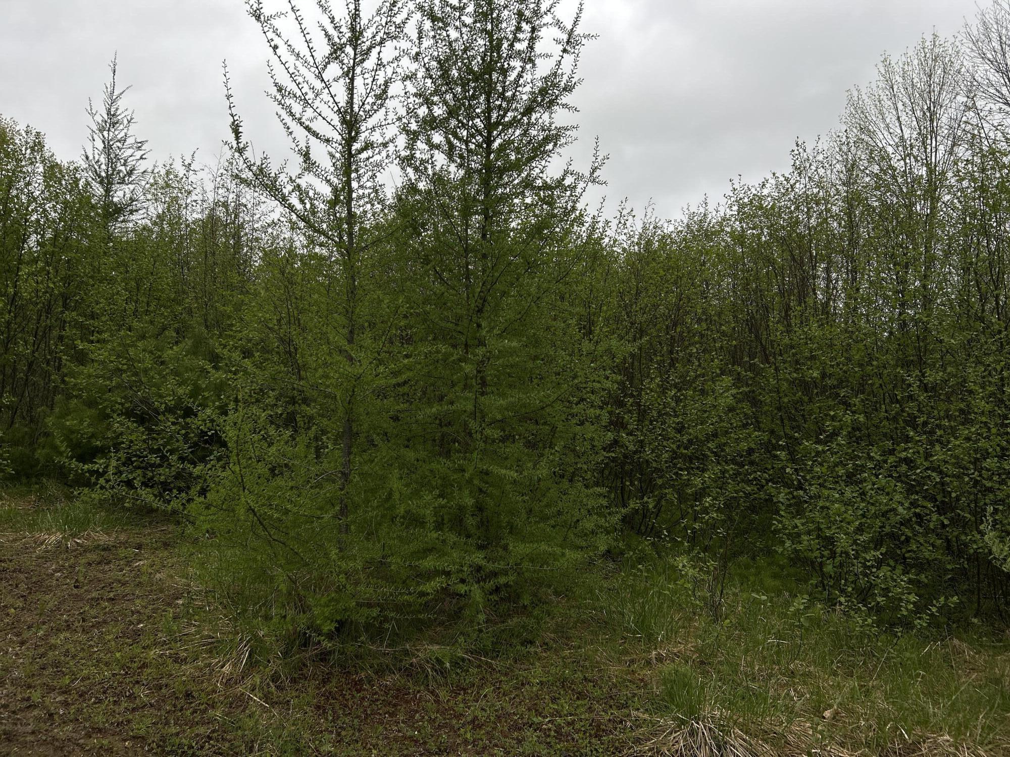 696 Lebanon Road Winterport ME 04496