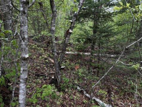 696 Lebanon Road Winterport ME 04496