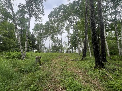 1 Puffins Lane Machiasport ME 04655