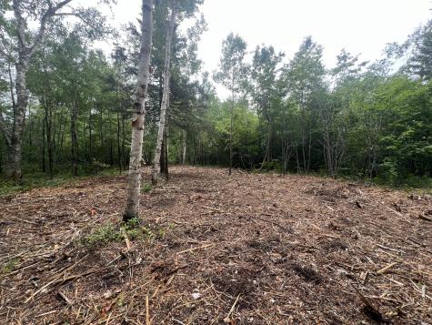 1 Puffins Lane Machiasport ME 04655