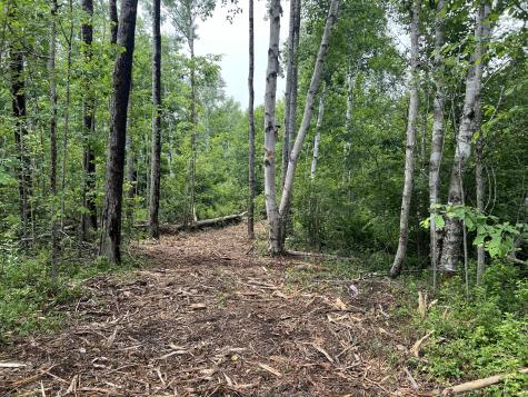 1 Puffins Lane Machiasport ME 04655