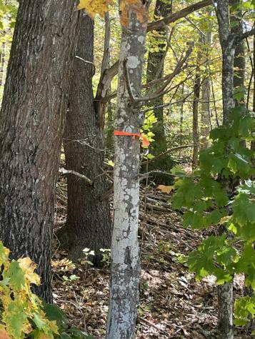 Lot #6 Meetinghouse Road Wells ME 04090