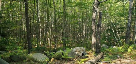 Lot 005 Egypt Pond & Sanborn Hill Roads Chesterville ME 04938