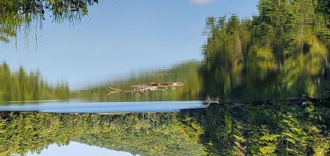 Lot 005 Egypt Pond & Sanborn Hill Roads Chesterville ME 04938