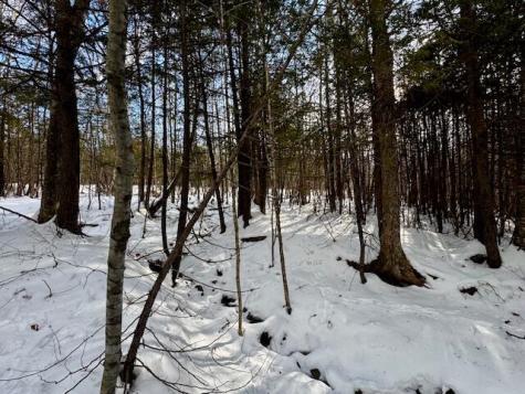 M9 L29 N Beckwith Road Cornville ME 04976