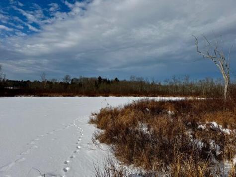 M9 L29 N Beckwith Road Cornville ME 04976