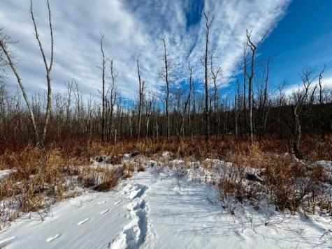 M9 L29 N Beckwith Road Cornville ME 04976