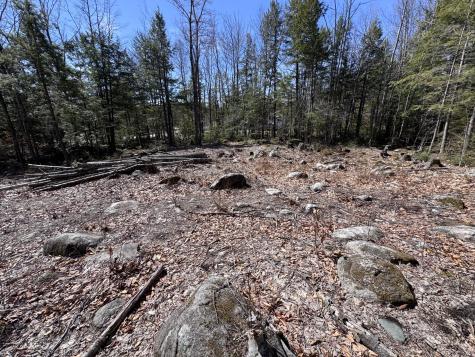 11 Ward Road Sebago ME 04029