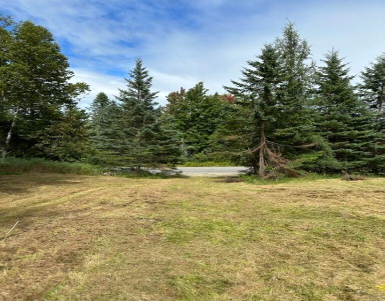 217 Thistle Street Upton ME 04261