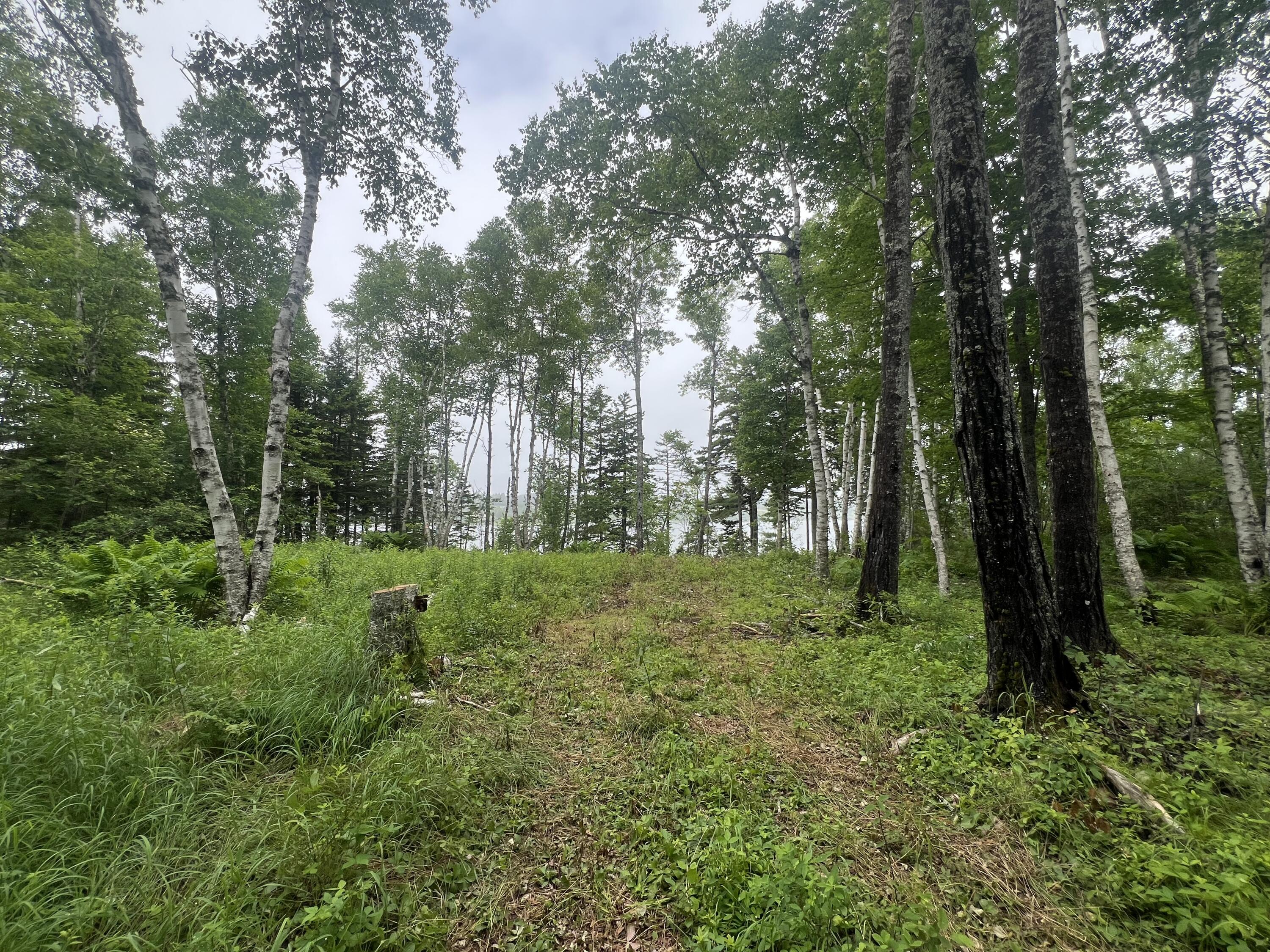 Lot 1 Puffins Lane Machiasport ME 04655
