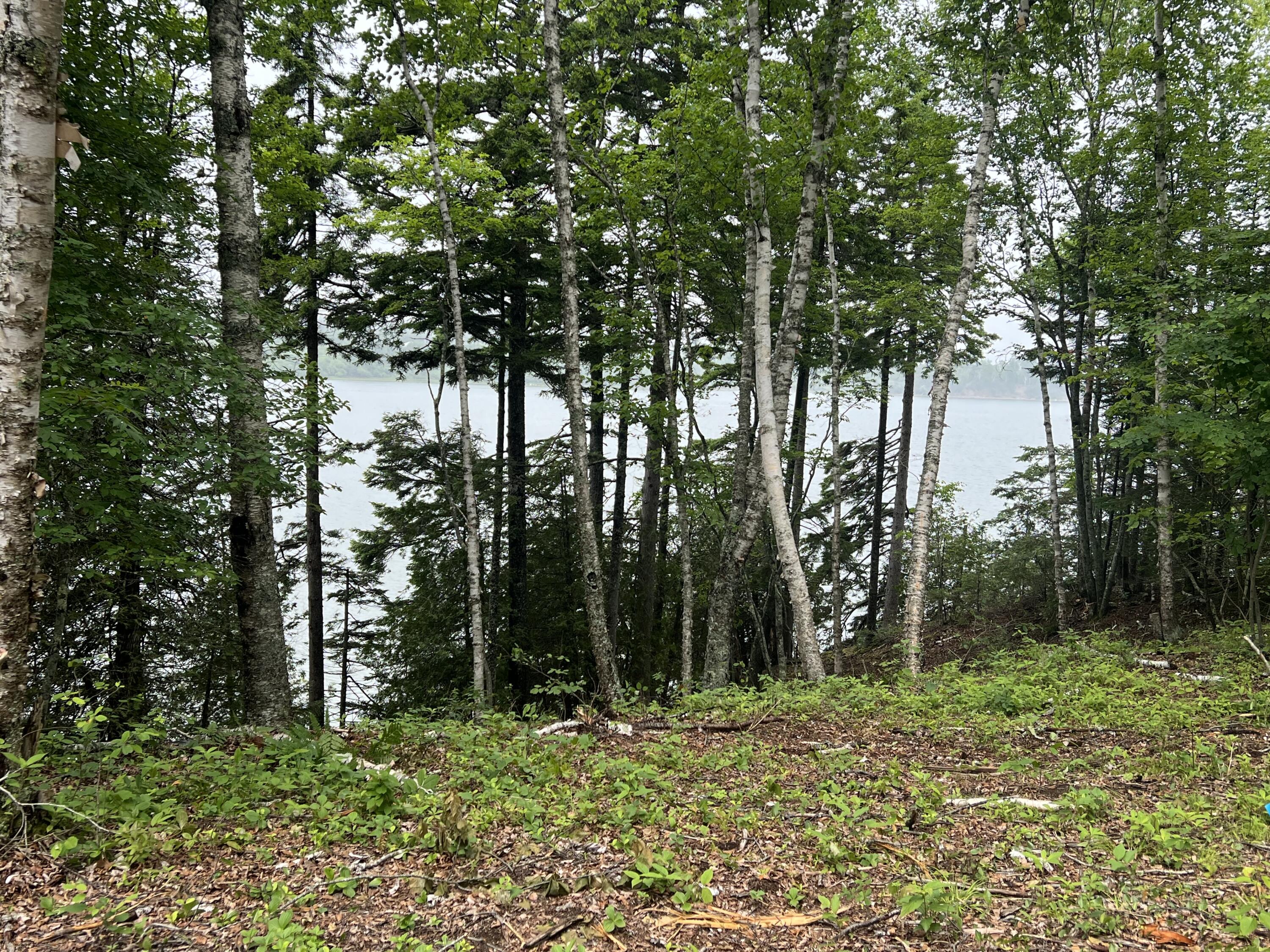 Lot 1 Puffins Lane Machiasport ME 04655
