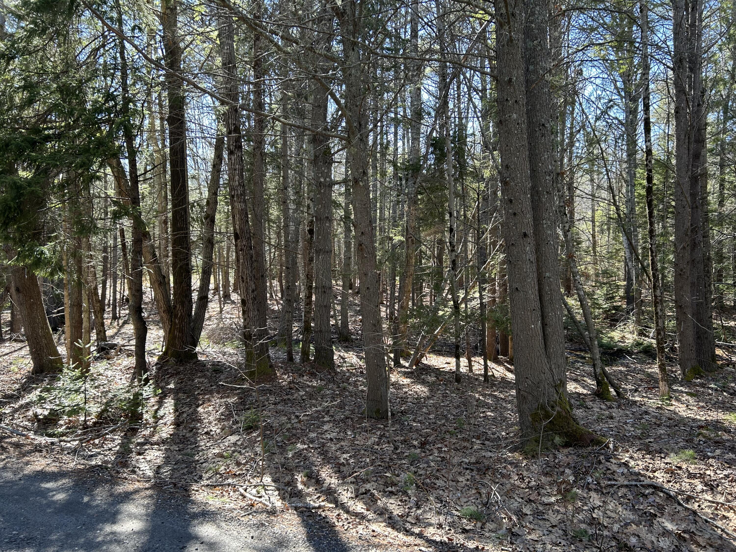 Lot #146 Laurel Shore Drive Harpswell ME 04079