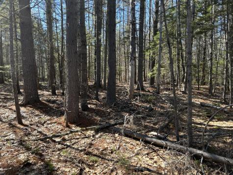 Lot #146 Laurel Shore Drive Harpswell ME 04079