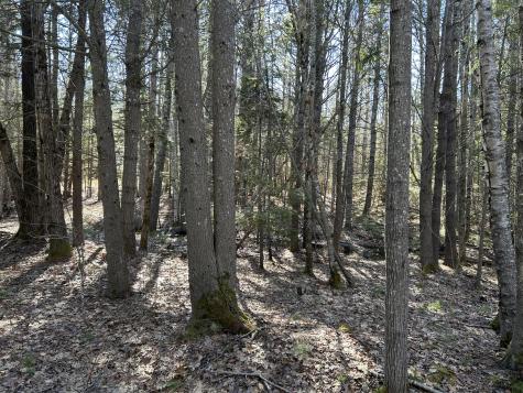 Lot #146 Laurel Shore Drive Harpswell ME 04079