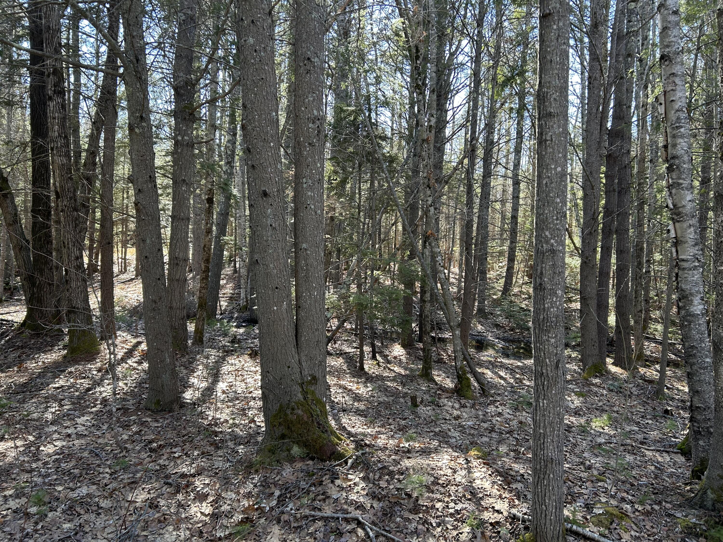 Lot #146 Laurel Shore Drive Harpswell ME 04079