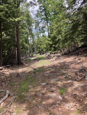 000 Hope Road Lincolnville ME 04849