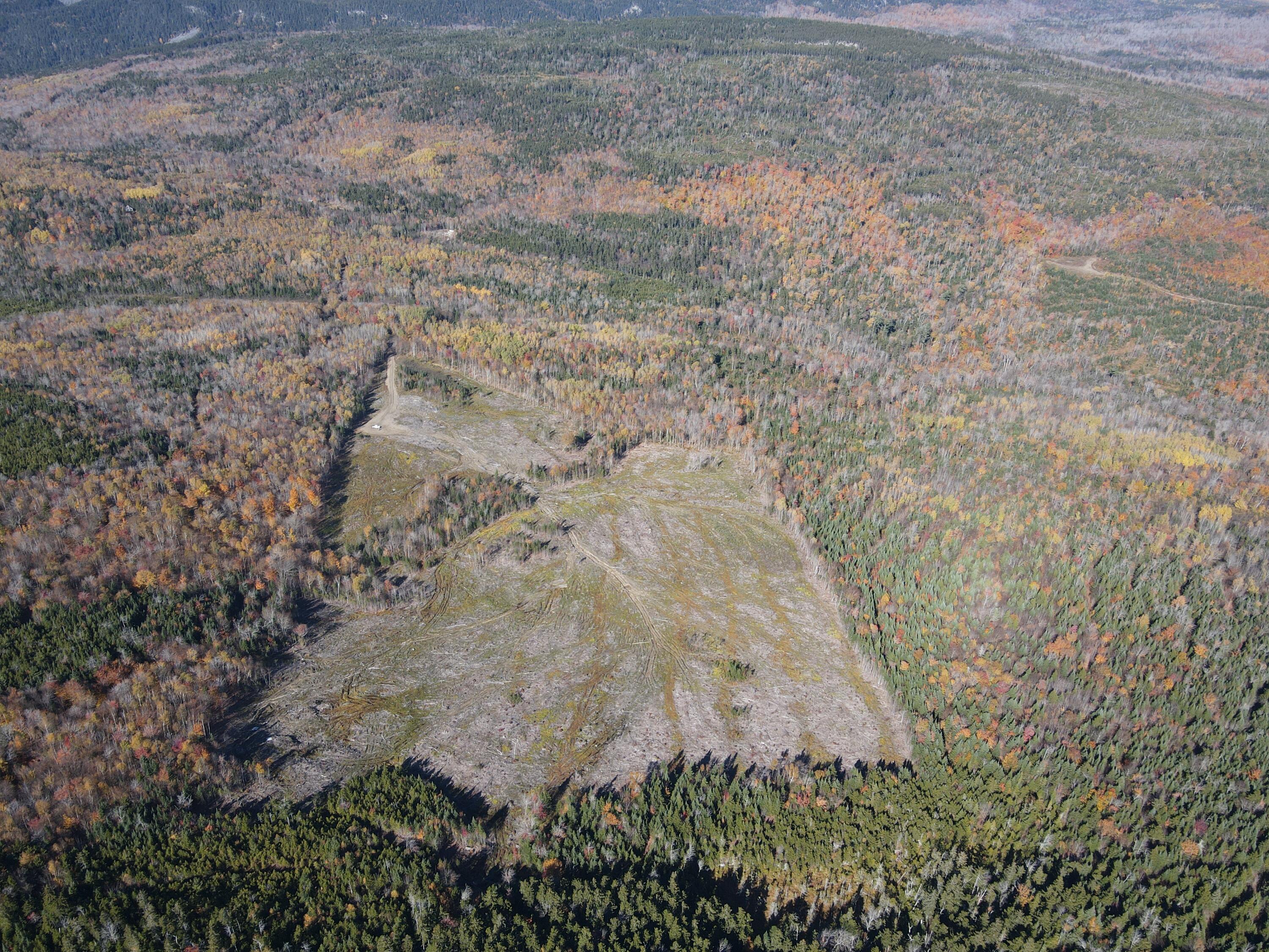 Lot 12-4 Beech Hill Road Sandy River Plt ME 04970