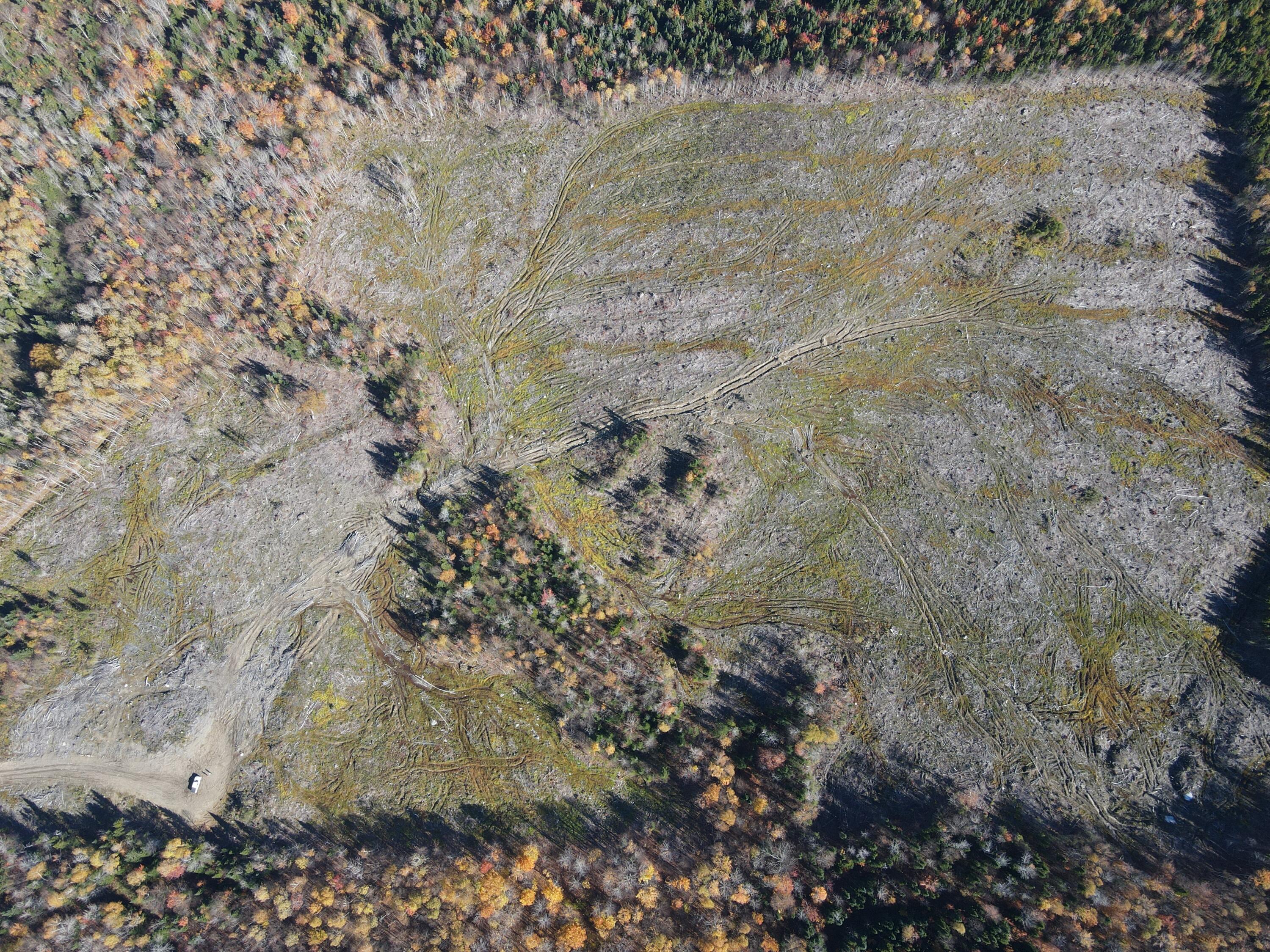 Lot 12-4 Beech Hill Road Sandy River Plt ME 04970