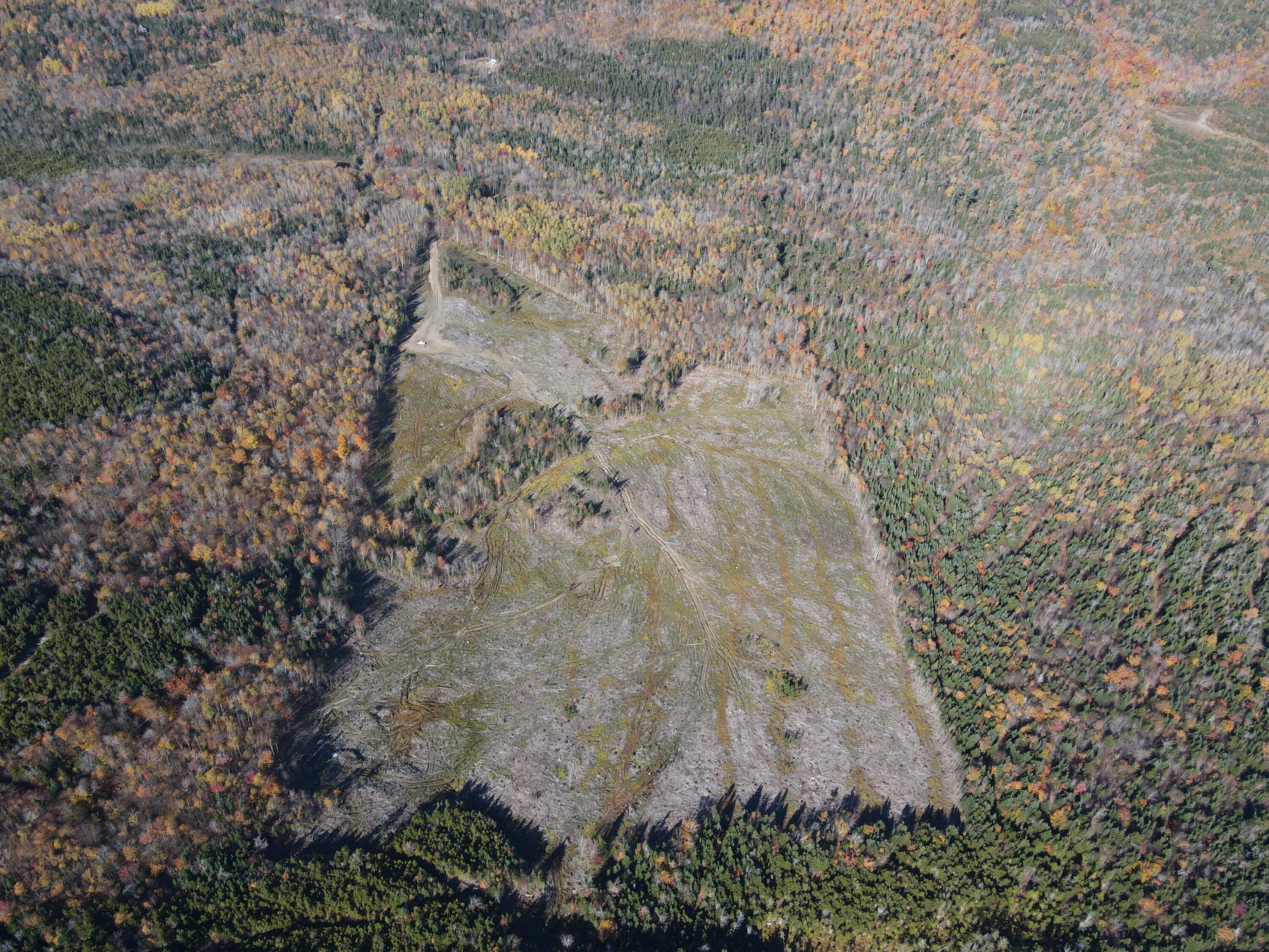 Lot 12-4 Beech Hill Road Sandy River Plt ME 04970