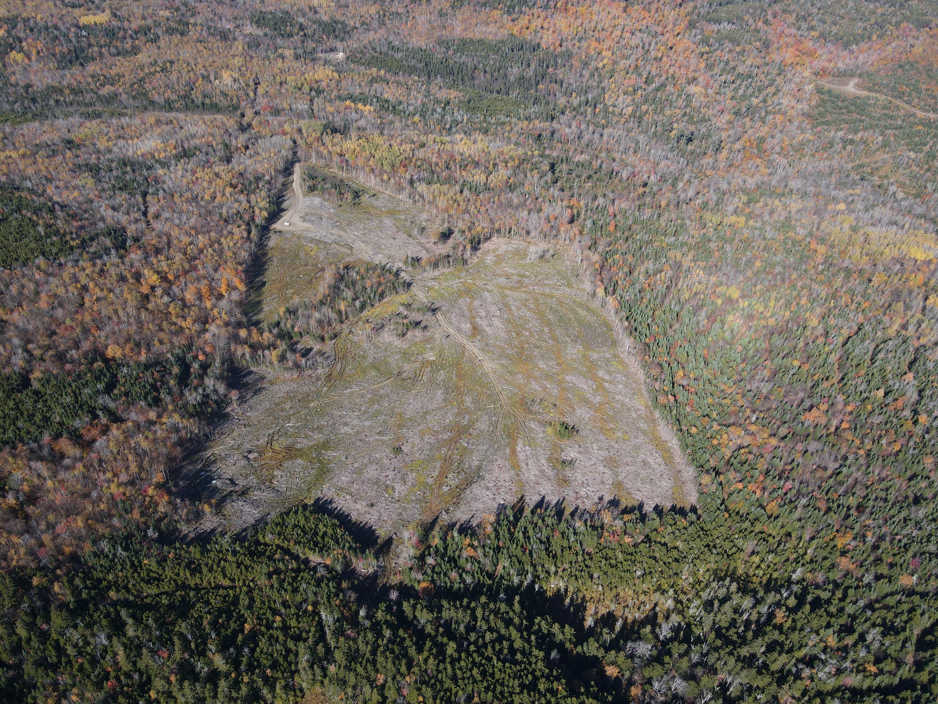 Lot 12-4 Beech Hill Road Sandy River Plt ME 04970