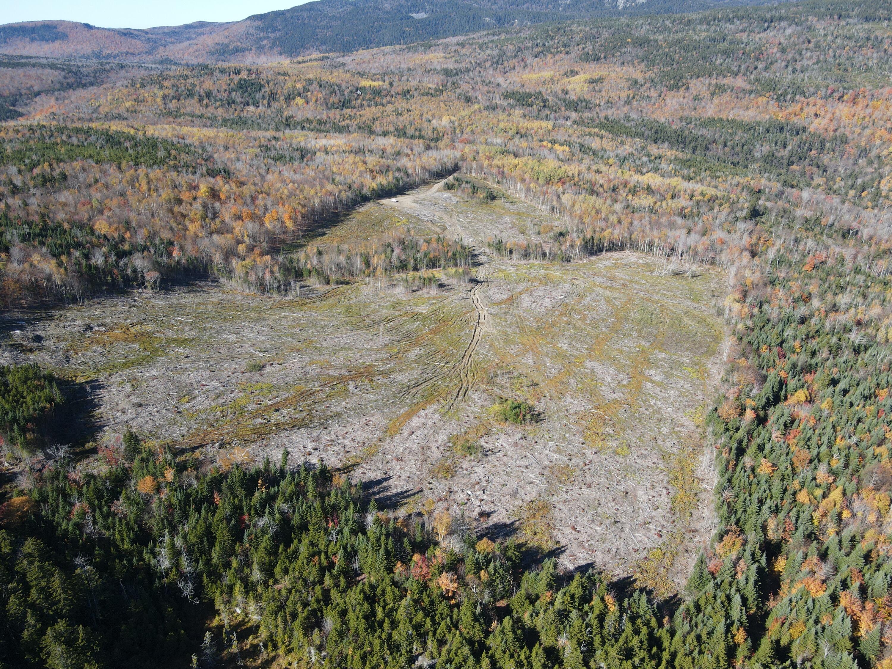 Lot 12-4 Beech Hill Road Sandy River Plt ME 04970