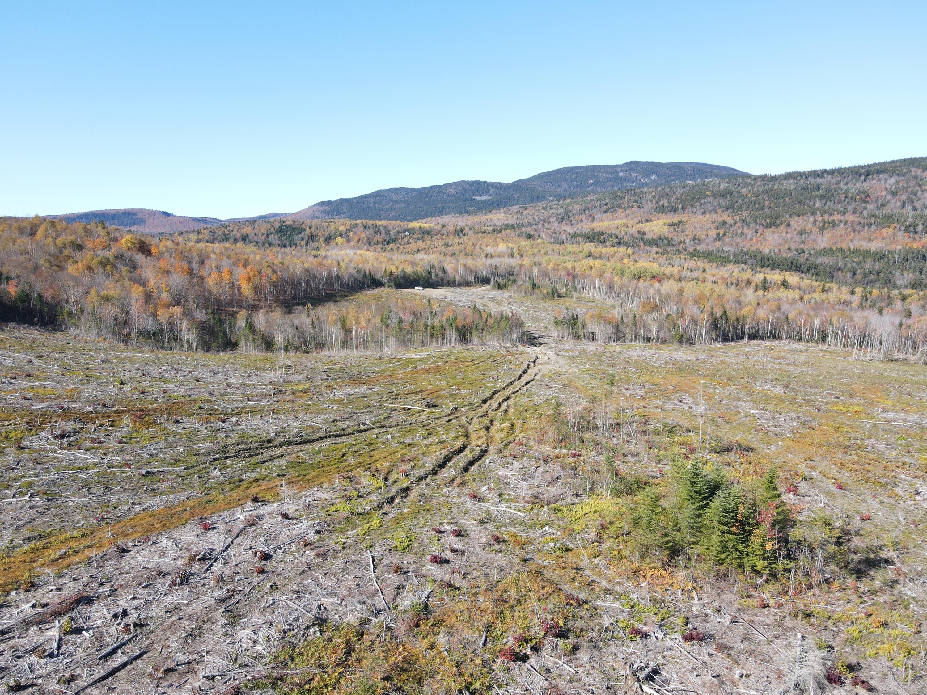 Lot 12-4 Beech Hill Road Sandy River Plt ME 04970