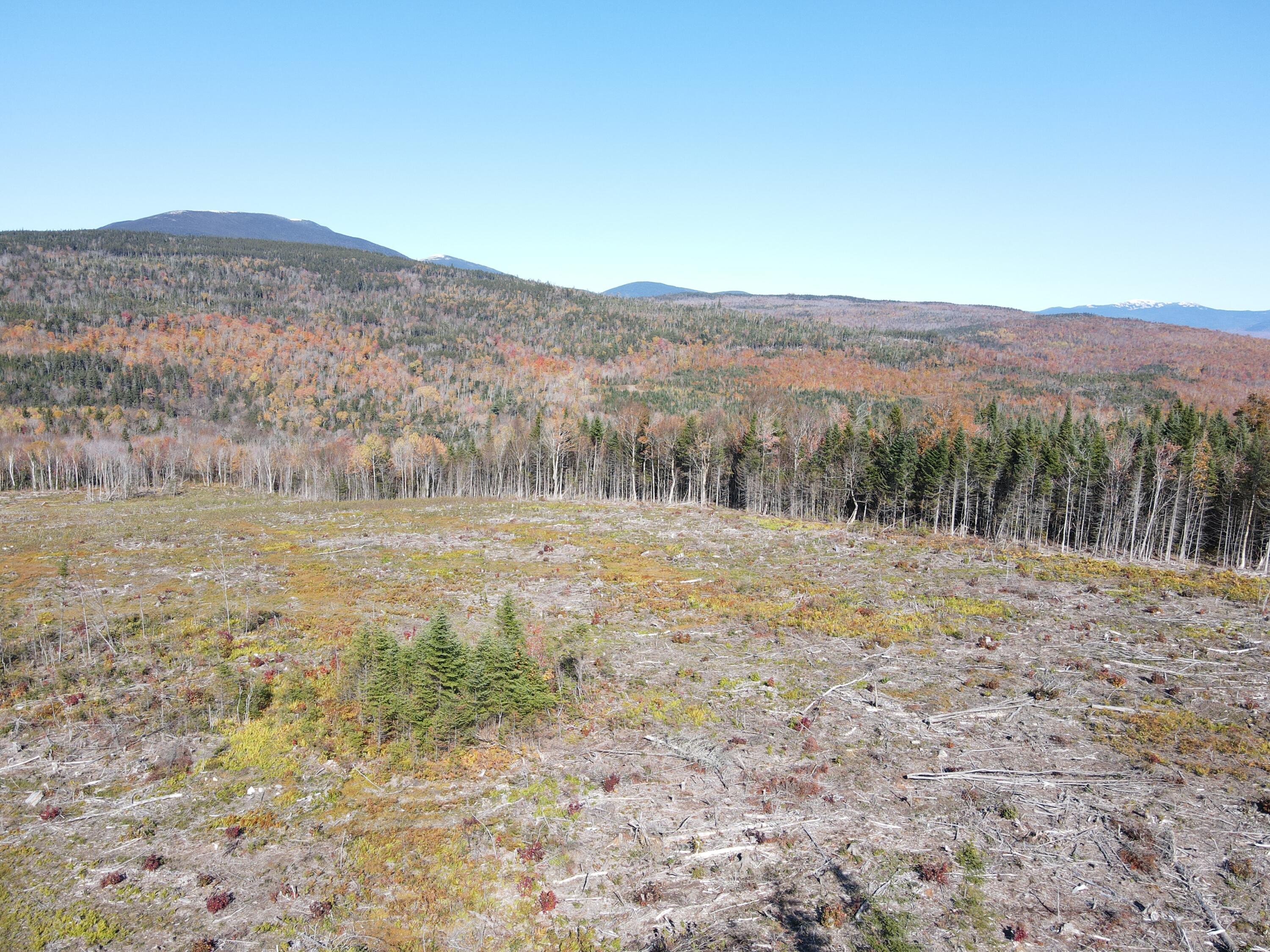 Lot 12-4 Beech Hill Road Sandy River Plt ME 04970