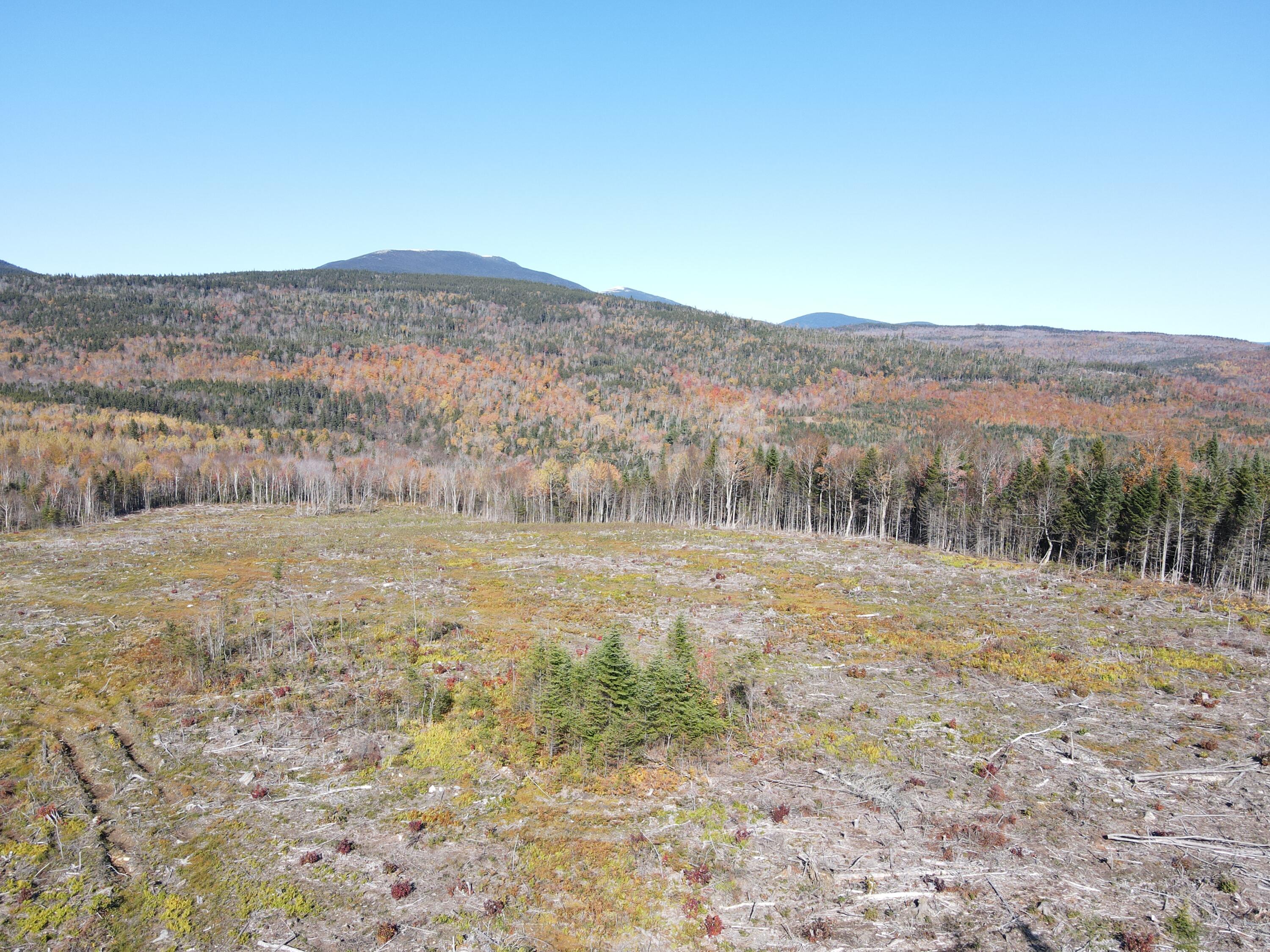 Lot 12-4 Beech Hill Road Sandy River Plt ME 04970