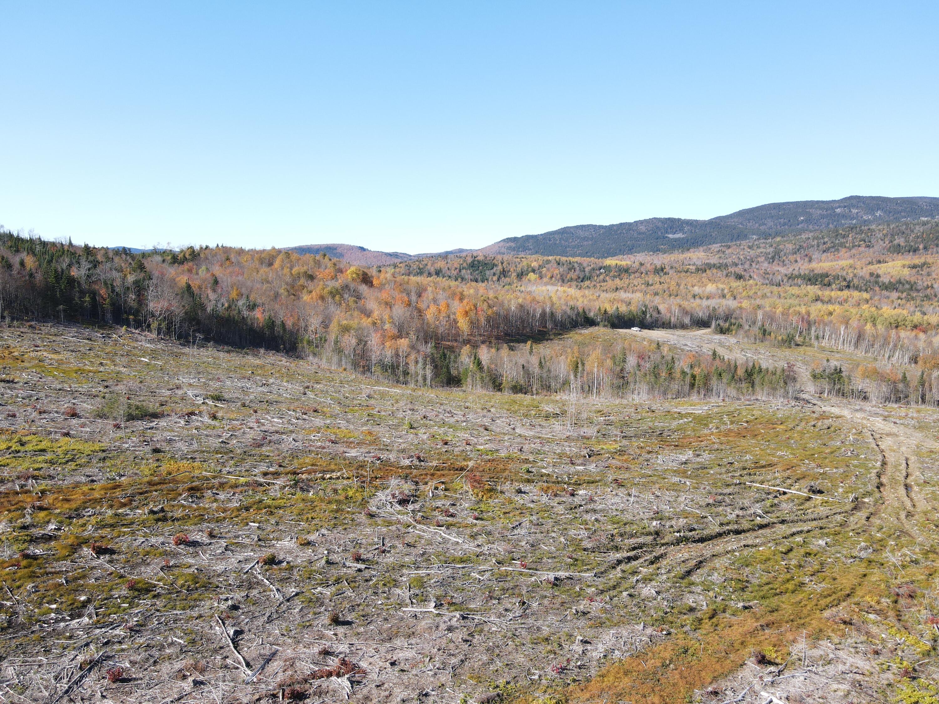 Lot 12-4 Beech Hill Road Sandy River Plt ME 04970