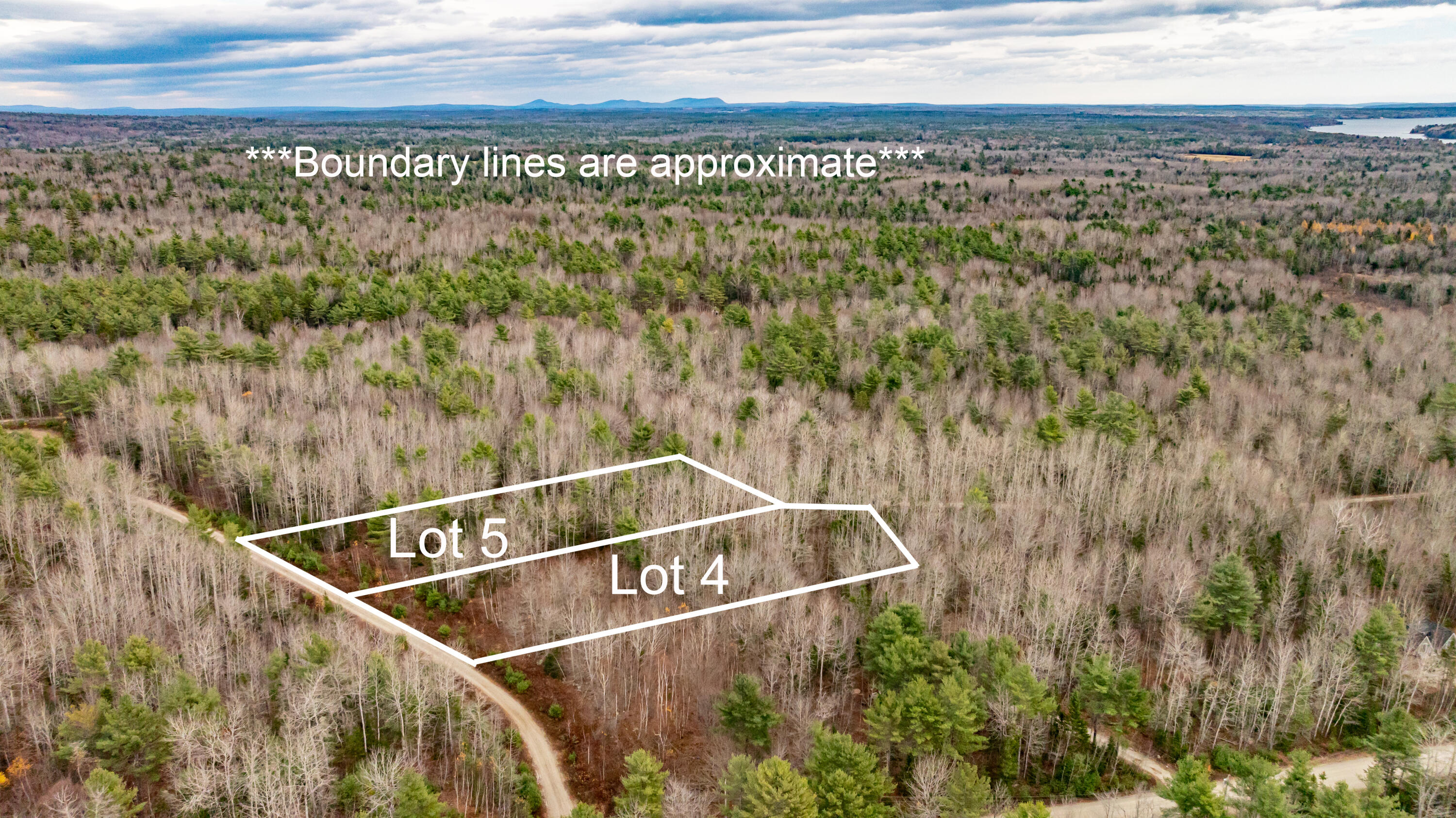 M10L29A4&5 Miller Lane Surry ME 04684