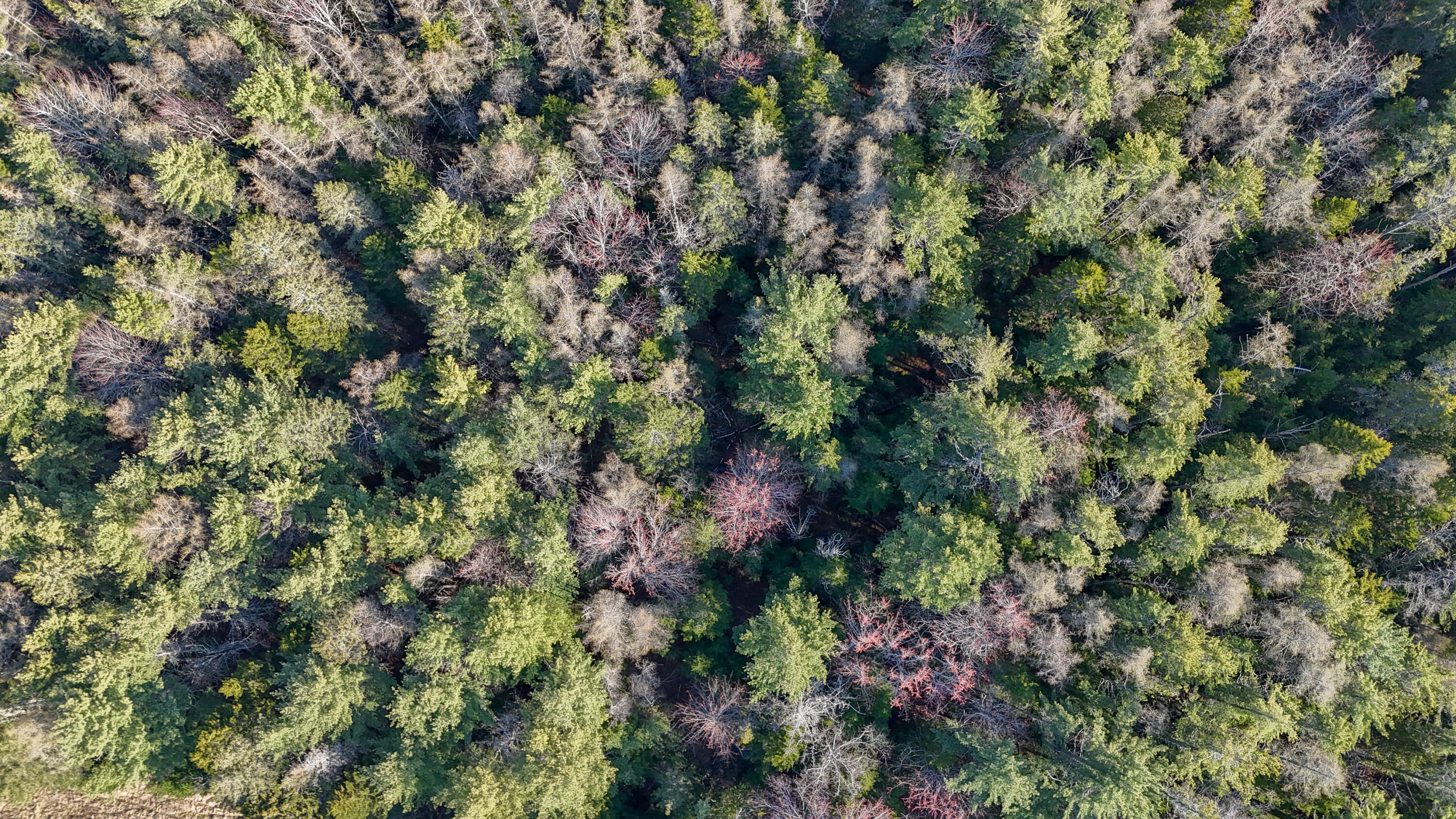 M 10 L107 Salt Pond Road Hancock ME 04640