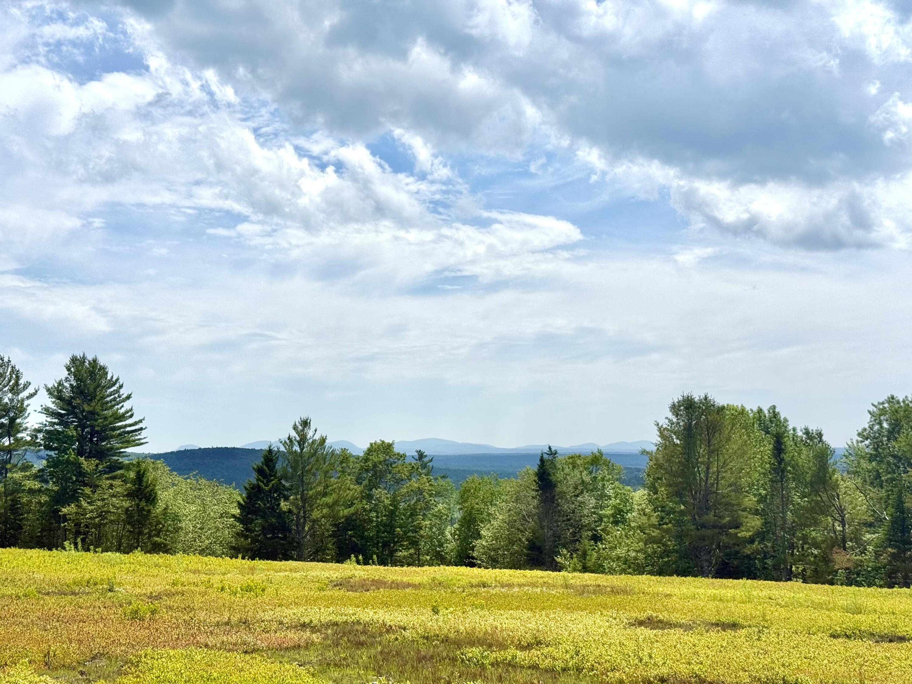 L1,4,9,11 Martins Ridge Road Franklin ME 04634