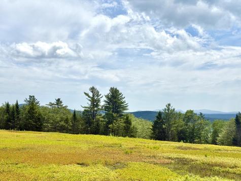 L1,4,9,11 Martins Ridge Road Franklin ME 04634