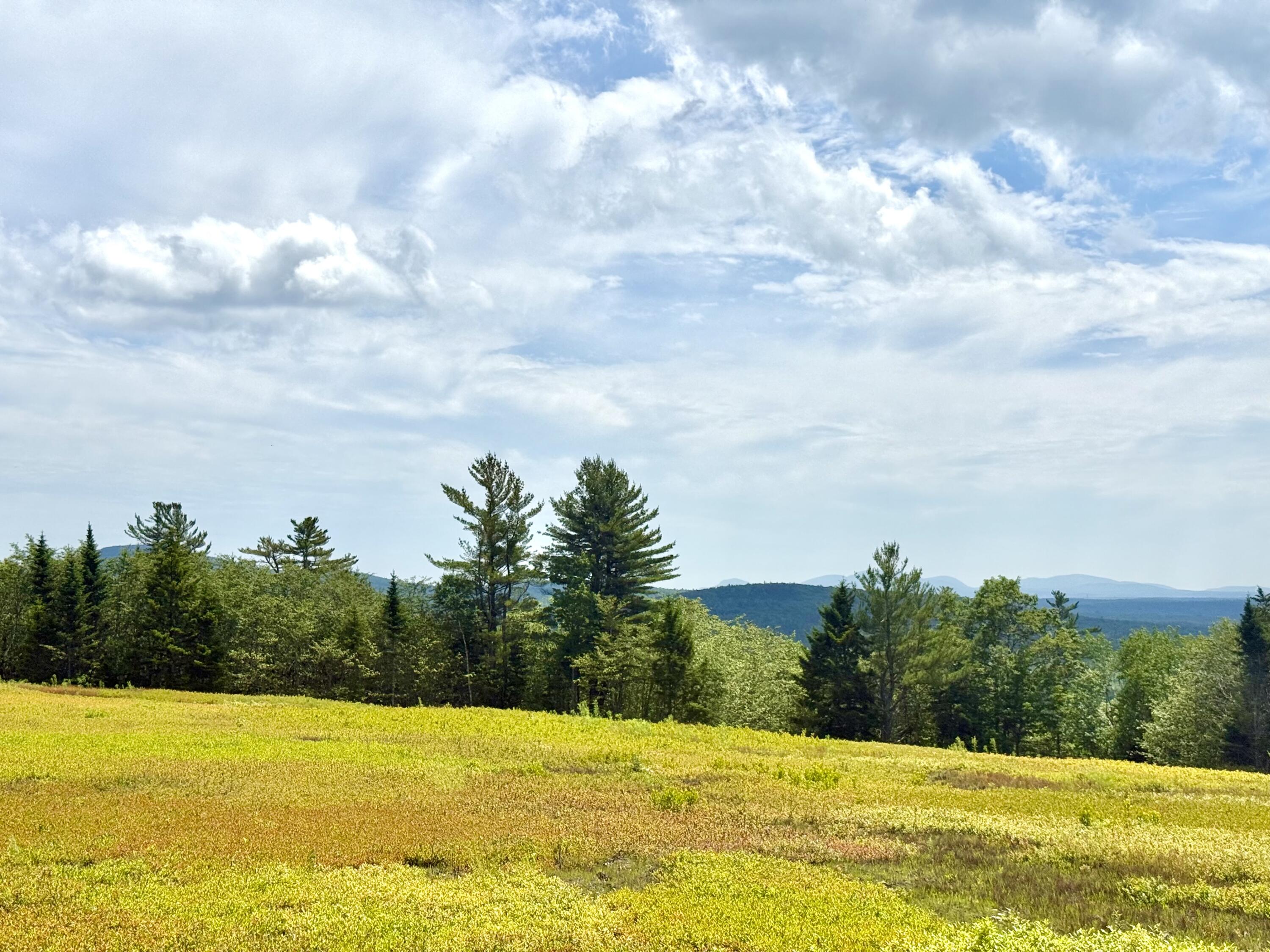 L1,4,9,11 Martins Ridge Road Franklin ME 04634