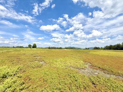 L1,4,9,11 Martins Ridge Road Franklin ME 04634