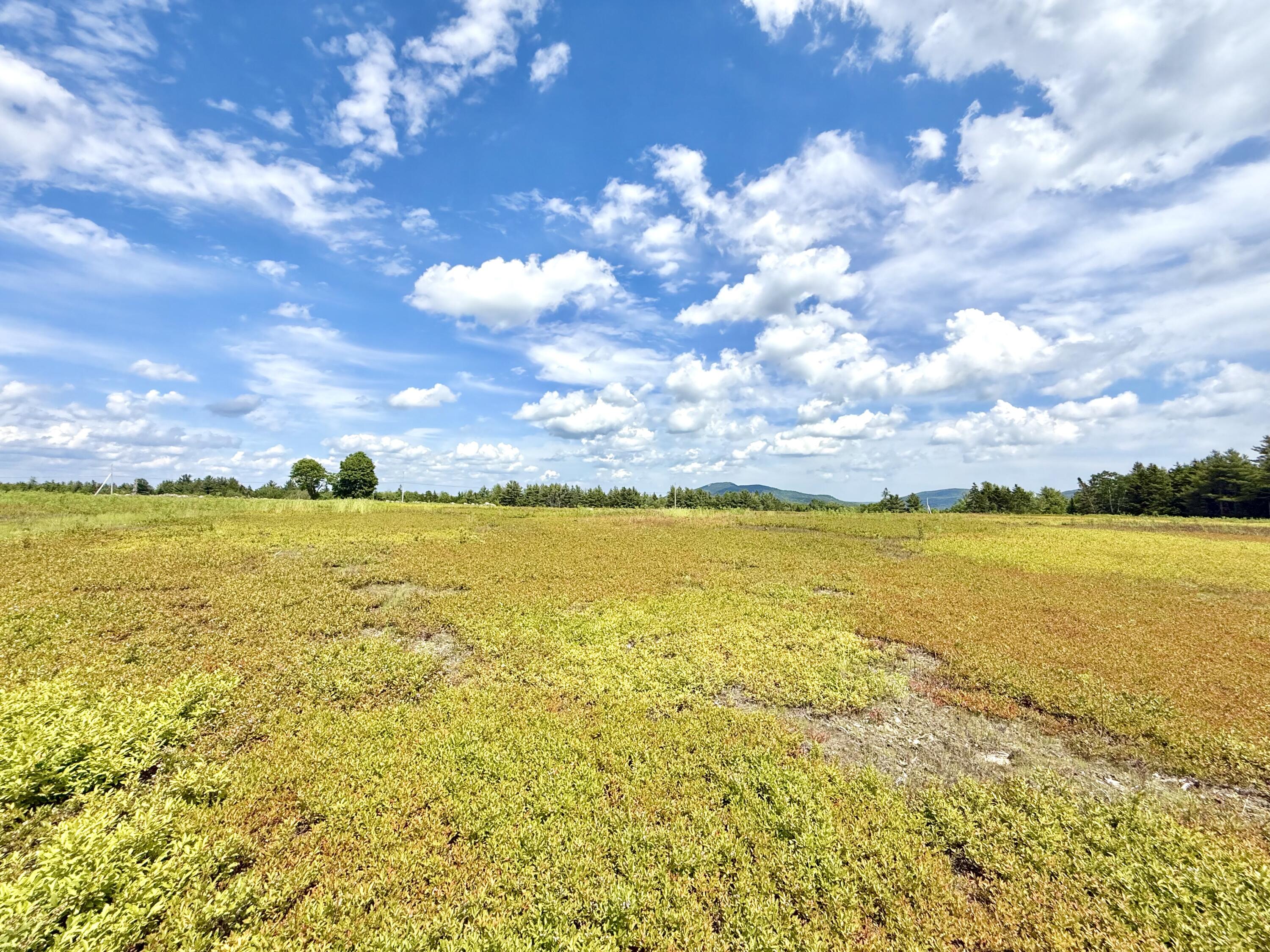 L1,4,9,11 Martins Ridge Road Franklin ME 04634