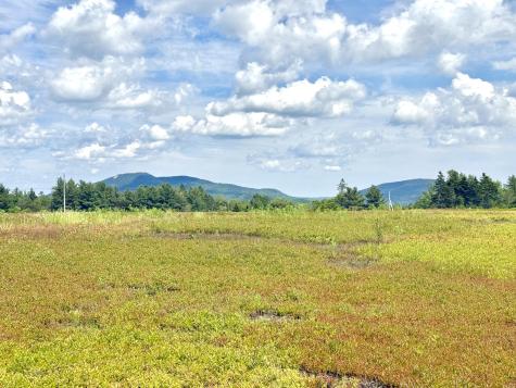 L1,4,9,11 Martins Ridge Road Franklin ME 04634