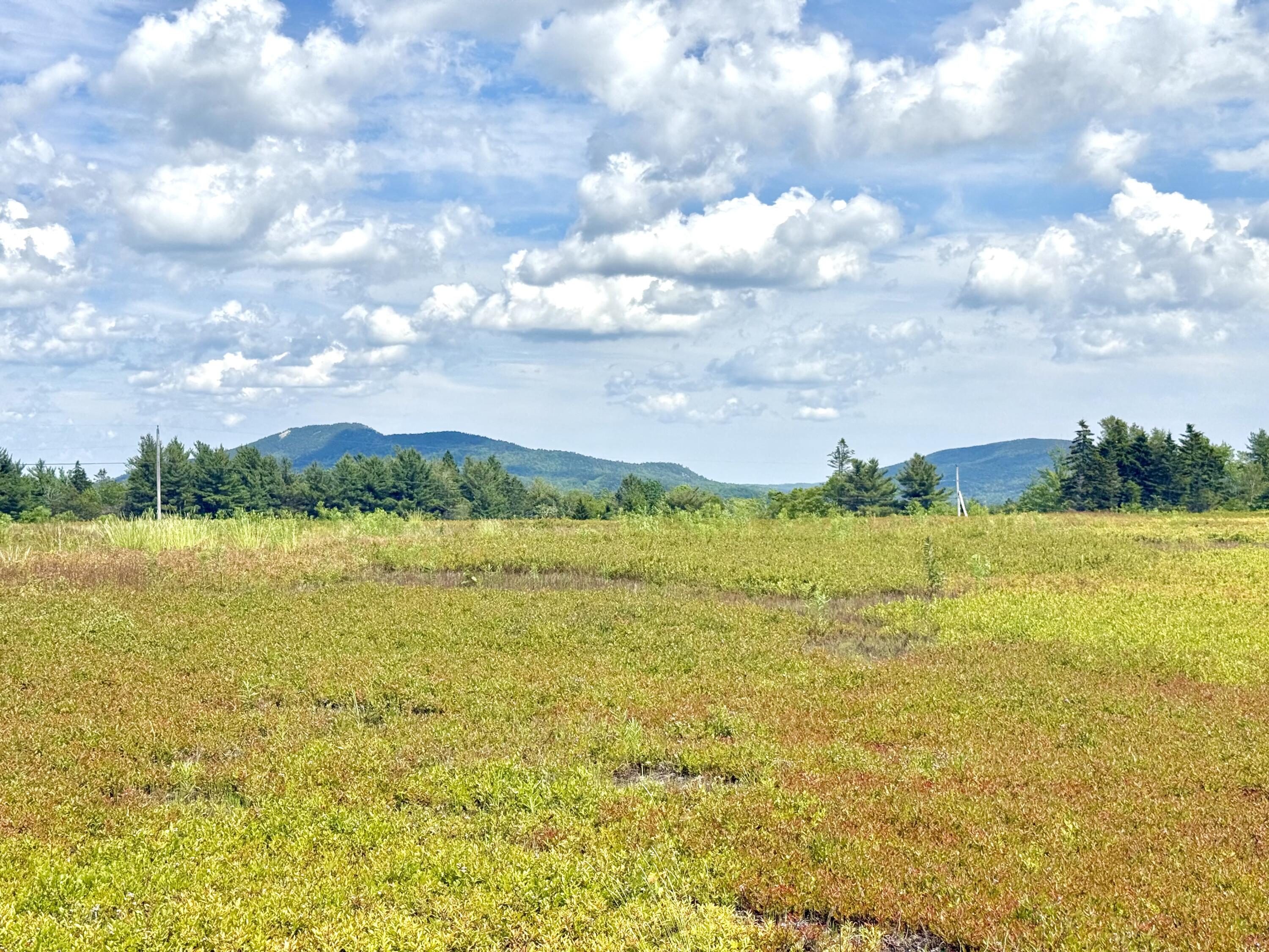 L1,4,9,11 Martins Ridge Road Franklin ME 04634