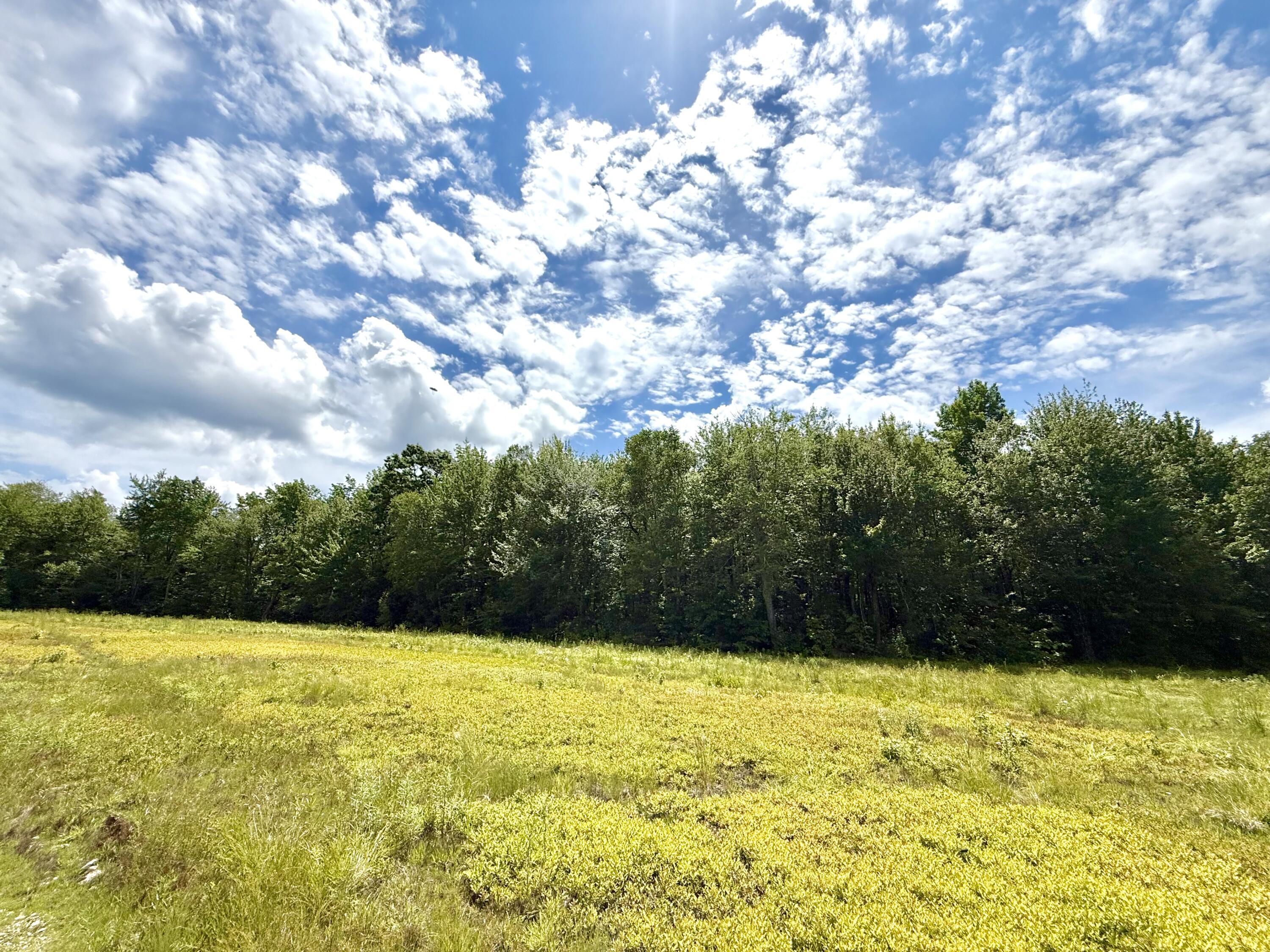 L1,4,9,11 Martins Ridge Road Franklin ME 04634