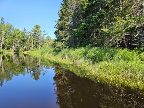 Lot 49 Meeting House Road Columbia ME 04623