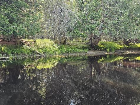 Lot 49 Meeting House Road Columbia ME 04623