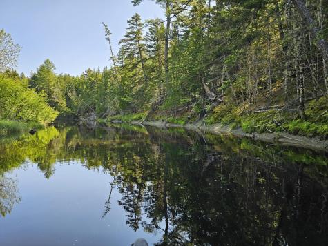 Lot 49 Meeting House Road Columbia ME 04623