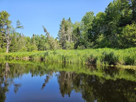 Lot 49 Meeting House Road Columbia ME 04623