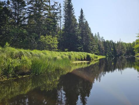 Lot 49 Meeting House Road Columbia ME 04623