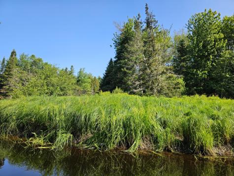 Lot 49 Meeting House Road Columbia ME 04623