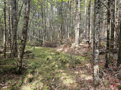 Lot 49 Meeting House Road Columbia ME 04623