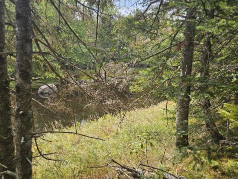 Lot 49 Meeting House Road Columbia ME 04623